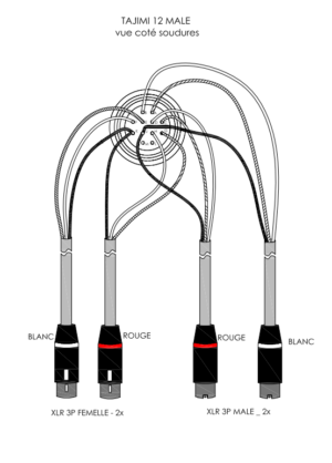 Tajimi 12-pin female output, including internal wiring